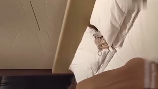 瑜伽女教练成功拿下，“你趴到墙上”，“不要酱紫拍我”，吃下嘛吃下宝贝，“我喜欢你这样操我”，有趣对白