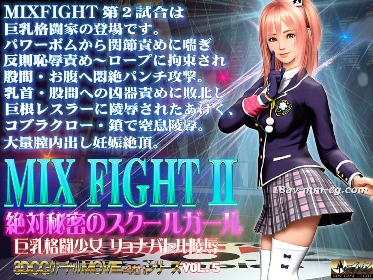 [3D]MIX FIGHT2絶対秘密のスクールール