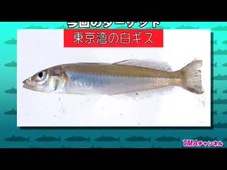[AVOP-206]釣りカおじさん日記 ～マンナ初美沙希ちゃんとキス釣りチャレン！！