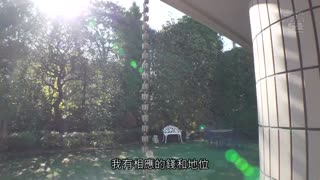 見習從順女僕隨我喜好數日間養育調教日記 白葉莉子 SSNI-749