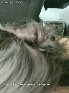 2020,07,20‖车震‖粉短袖‖翘屁股扭动手指扣弄舔逼口交，抽插上位骑坐猛操