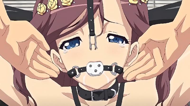 えろまんが！Hもマンガもステップアップ♪♪ 猫耳、ブルマに、裸エプロン◇ 小田桐香織の美味しい召し上がり方編