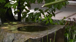 最棒的人妻 在老公面前被玷汙… 笹倉杏 MCSR-363