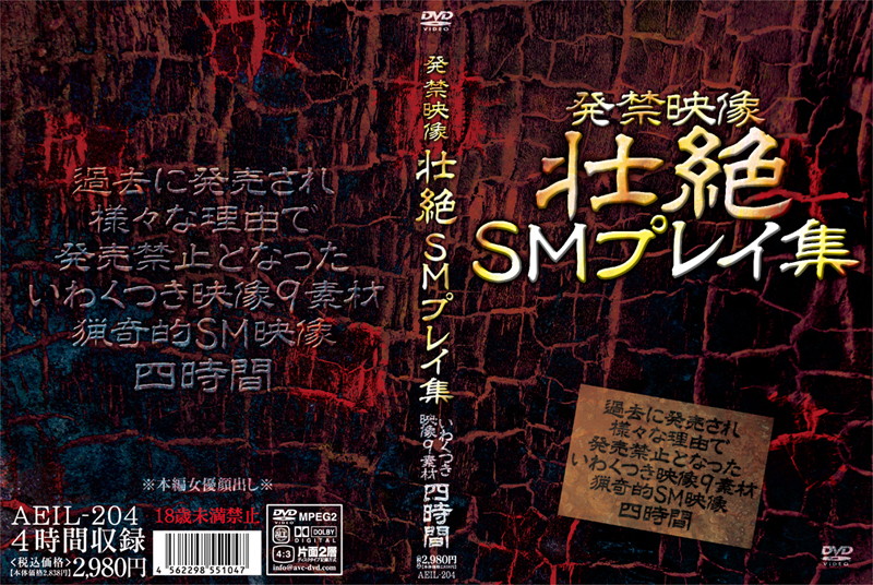aeil00204 発禁映像 壮絶SMレイ集