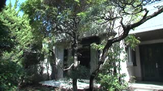 肏媽媽朋友 東条蒼 VEC-386