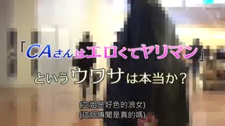 魔鏡號 飛回來的空姐想要肉棒到受不了的傳言是真的嗎は！？ DVDMS-463