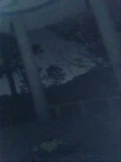 小可爱平台(原卡哇伊)风骚御姐户外小骚货1108大半夜勾搭打炮直接户外口-交啪啪十分淫荡第01集