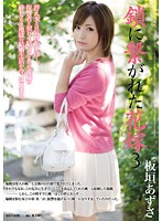 RBD-547-鎖に繋がれた花嫁3 板垣あずさ