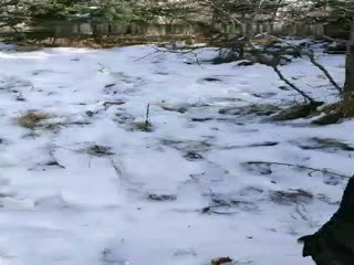 冰天雪地姐妹花玩户外露出口交●天气太冷鸡巴都快硬不起了-