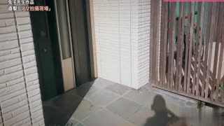 兔子先生 《直击日本AV现场》第一季~近距离接触女优的敬业生活!!