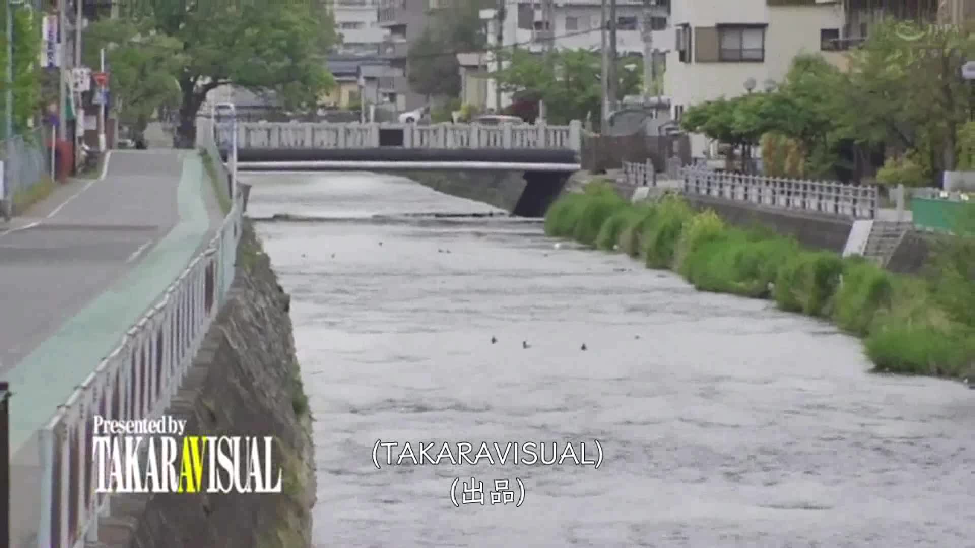 这全套看着是真爽死人居然还是无毛的小很有撸点