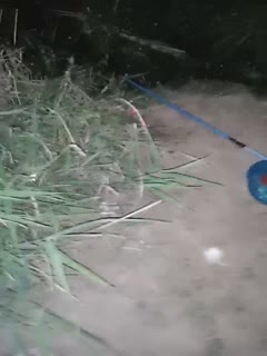 zhubo[香菜一奈05-31]20220531223150