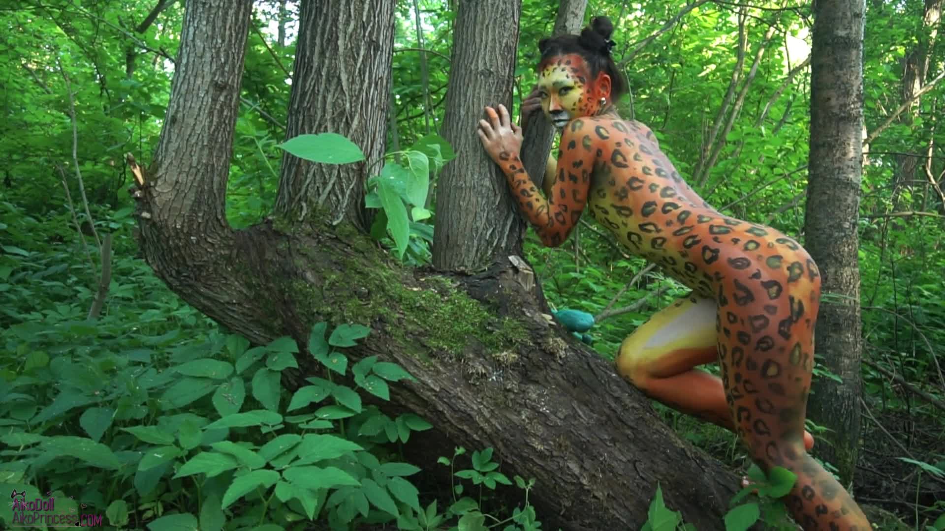 鸟语花香来到大自然欣赏美美变成动物回归原始森林的本能需求画面清新1080P