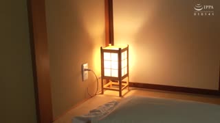 艷麗模特兒夫人回歸外傳 篠田優 VAGU-221