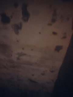 2021_11_21_探花足疗女走遍大街小巷快餐，性感不错颜值马尾少妇，带到小房间开操，扒掉内裤直接操，操的水很多