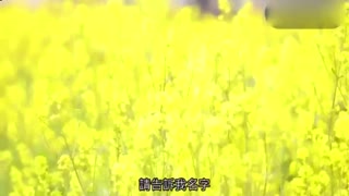 她正值青春年华AV出道