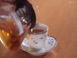 VOTAN-009 寢取られをうんと深掘りしてみました 紗紗原百合