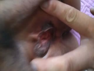 开坦克地址瓦房店开发3p