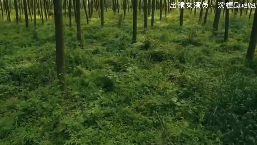 刺激战场会所啪啪