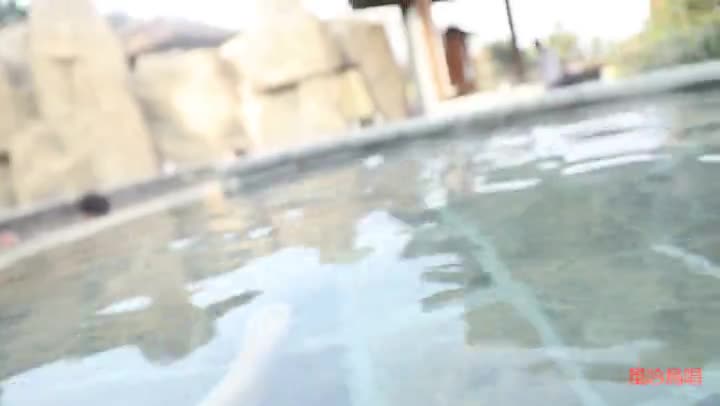 91风吟鸟唱虫虫1712