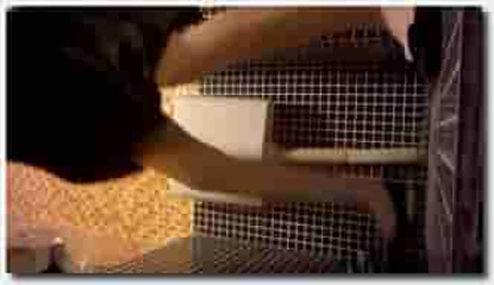 餐厅女厕偷拍漂亮少妇的小黑鲍~餐厅女厕偷拍漂亮少妇的小黑鲍