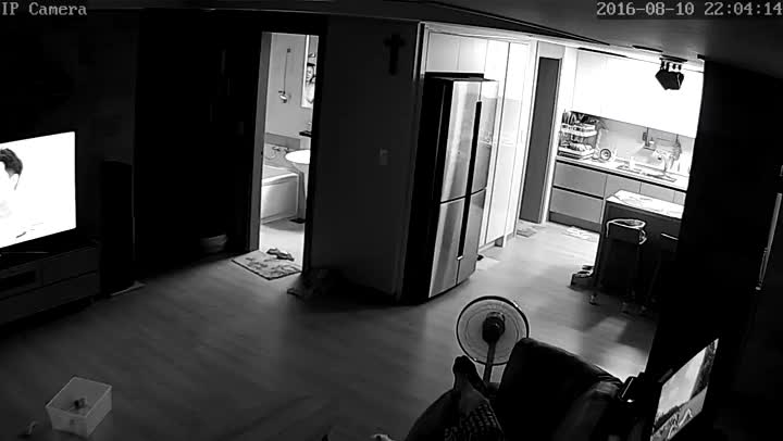 国产偷拍RecNomal160810205749